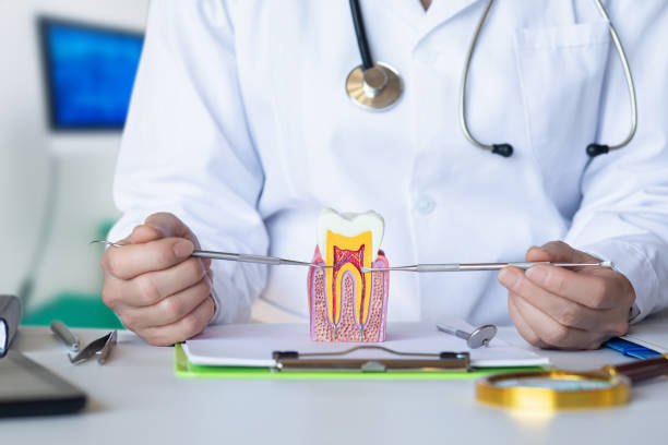 Best Emergency Dental Care for Broken or Chipped Teeth in Estacada, OR
